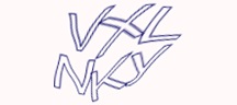 Visual Challenge