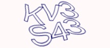 Visual Challenge