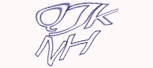 Visual Challenge