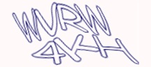 Visual Challenge