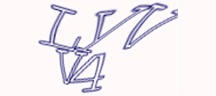 Visual Challenge