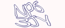 Visual Challenge