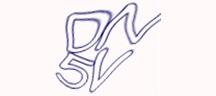 Visual Challenge