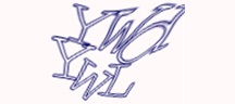 Visual Challenge