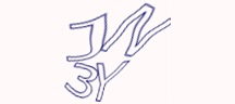 Visual Challenge