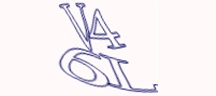 Visual Challenge
