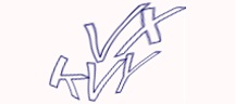 Visual Challenge