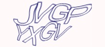 Visual Challenge