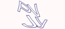 Visual Challenge