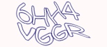 Visual Challenge