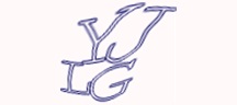 Visual Challenge